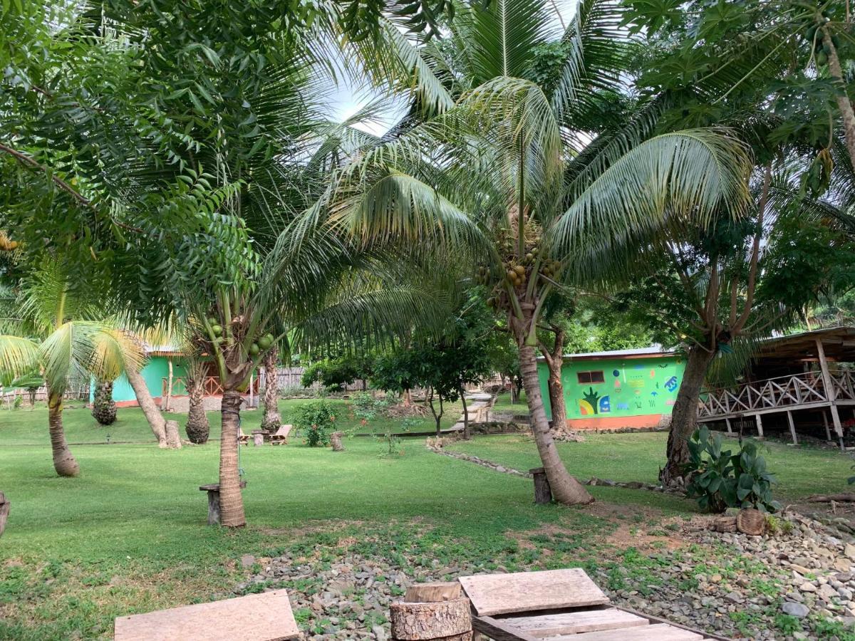 Cocoa Village Guesthouse Obo  Exterior photo